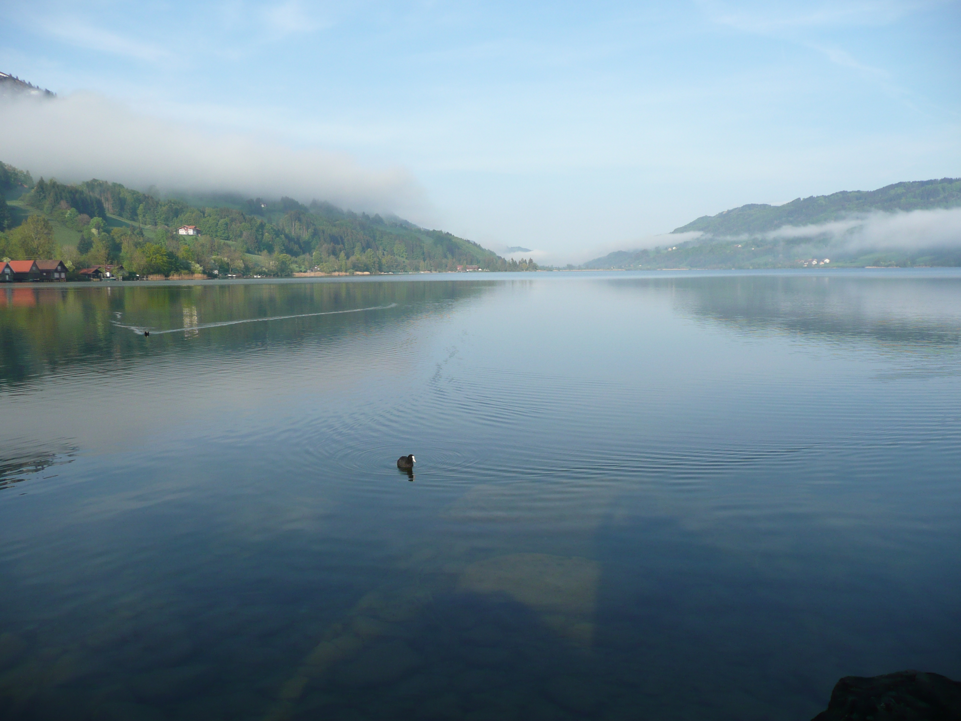 Een van de belangrijkste meren in de regio Allgau is de Alpsee. De watertemperatuur van dit meer is gemiddeld 17ºC.