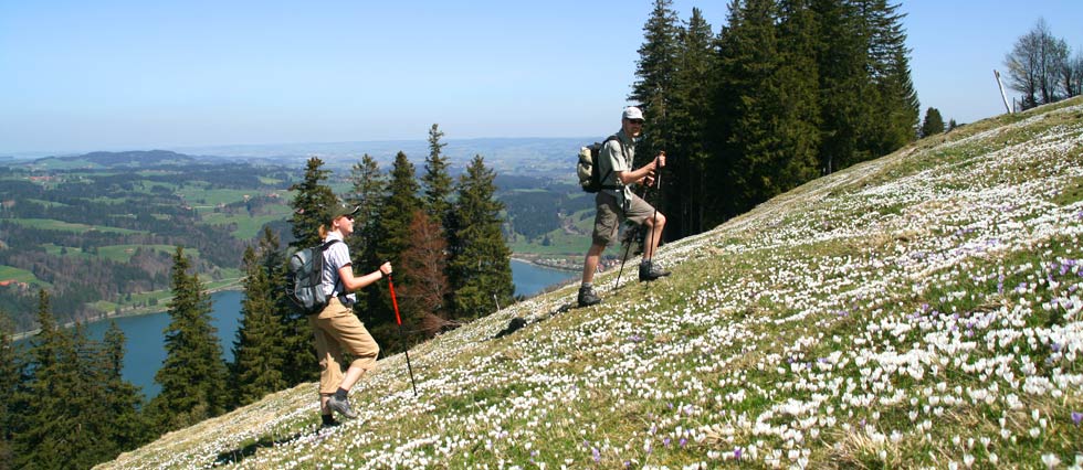 Hoger gelegen in de bergen zijn er ook volop wandelwegen te vinden. Hoe u de toppen ook bereikt, het uitzicht is er adembenemend.
