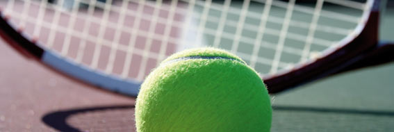 In de regio Achensee zijn in totaal een zestal tennisbanen te vinden
